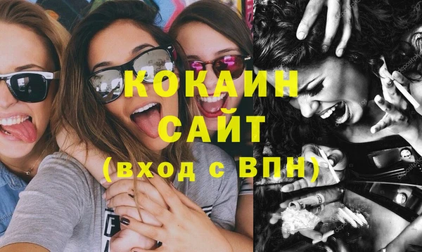 сатива Новокубанск