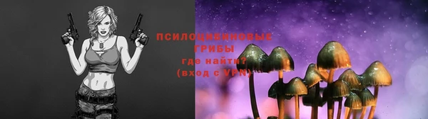 MDMA Новодвинск